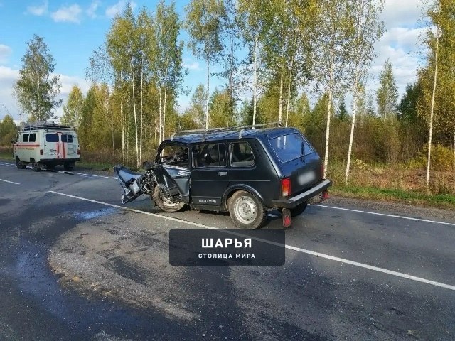 Мужчина погиб в ДТП в Шарьинском районе — Шарья — фото 2