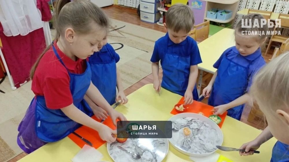 Юные шарьинцы отметили День российской науки — Шарья — фото 8