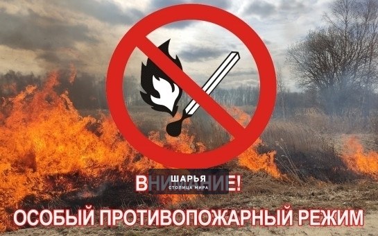 На территории Шарьинского района установился III класс пожарной опасности — Шарья — фото 2