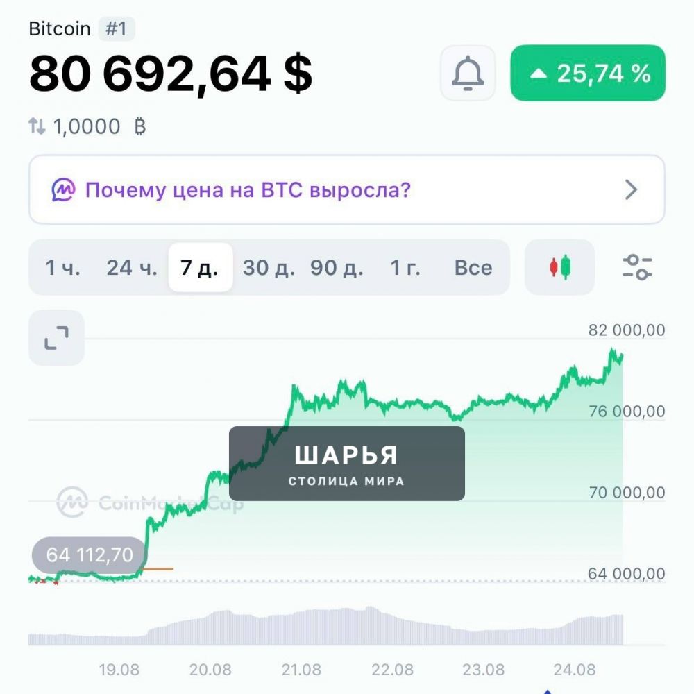 ‼ Биткоин ПРОБИЛ отметку в 80 000 долларов! — Шарья