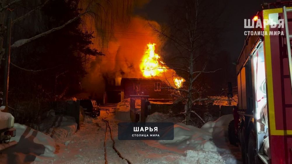Друзья, товарищи… на прошло неделе в нашей семье случилась страшная беда — Шарья — фото 2