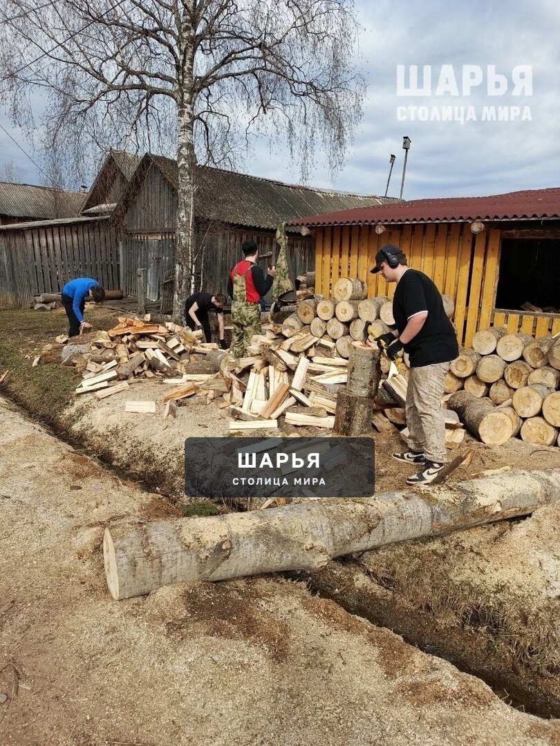 Шарьинские студенты помогают делом своим землякам — Шарья — фото 3