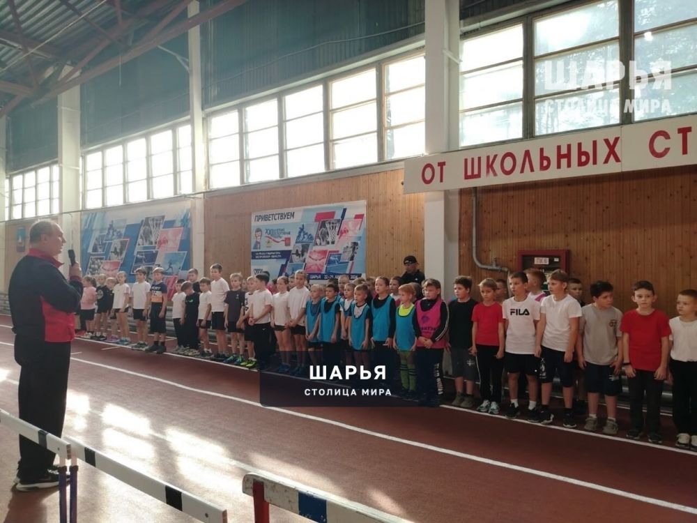 Воспитанники спортшколы Шарьи показали свою физподготовку — Шарья