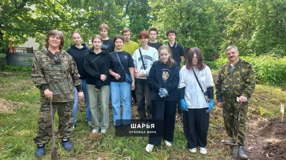 Шарьинская школа начала разрабатывать лесной питомник — Шарья — фото 1