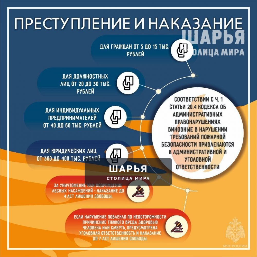 Пал травы в регионе происходит ежедневно — Шарья — фото 8