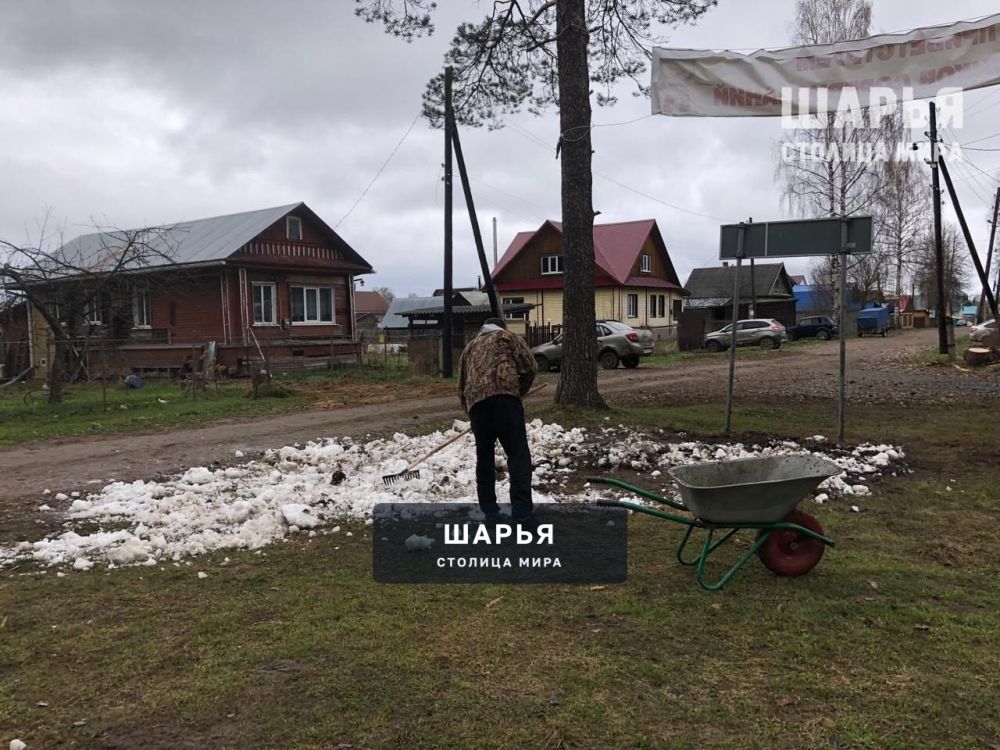 26 апреля коллектив МБУ ДО СШОР г. Шарья приняли участие во "Всероссийском субботнике 2025 " — фото 7