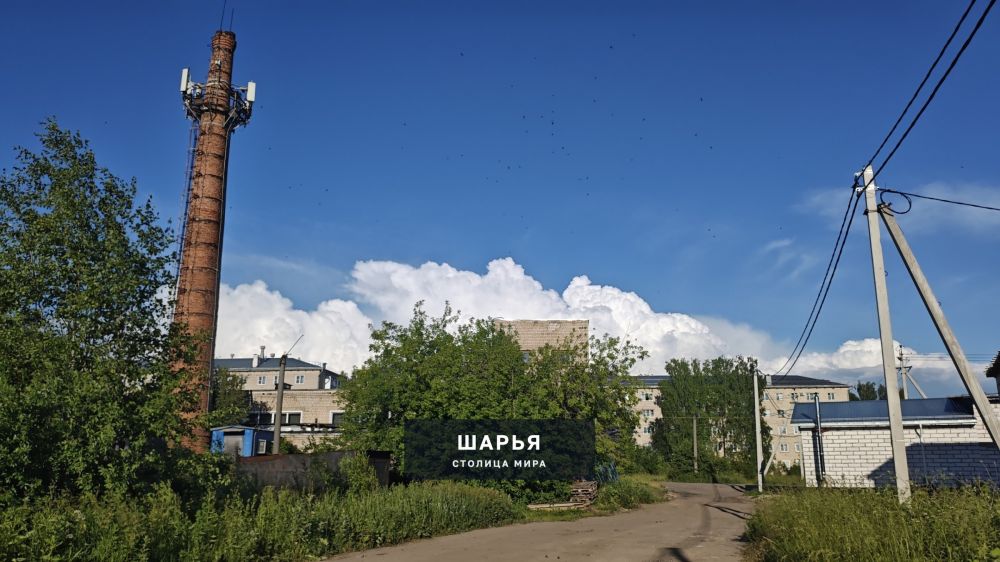 Новость из Шарьи — Шарья — фото 2