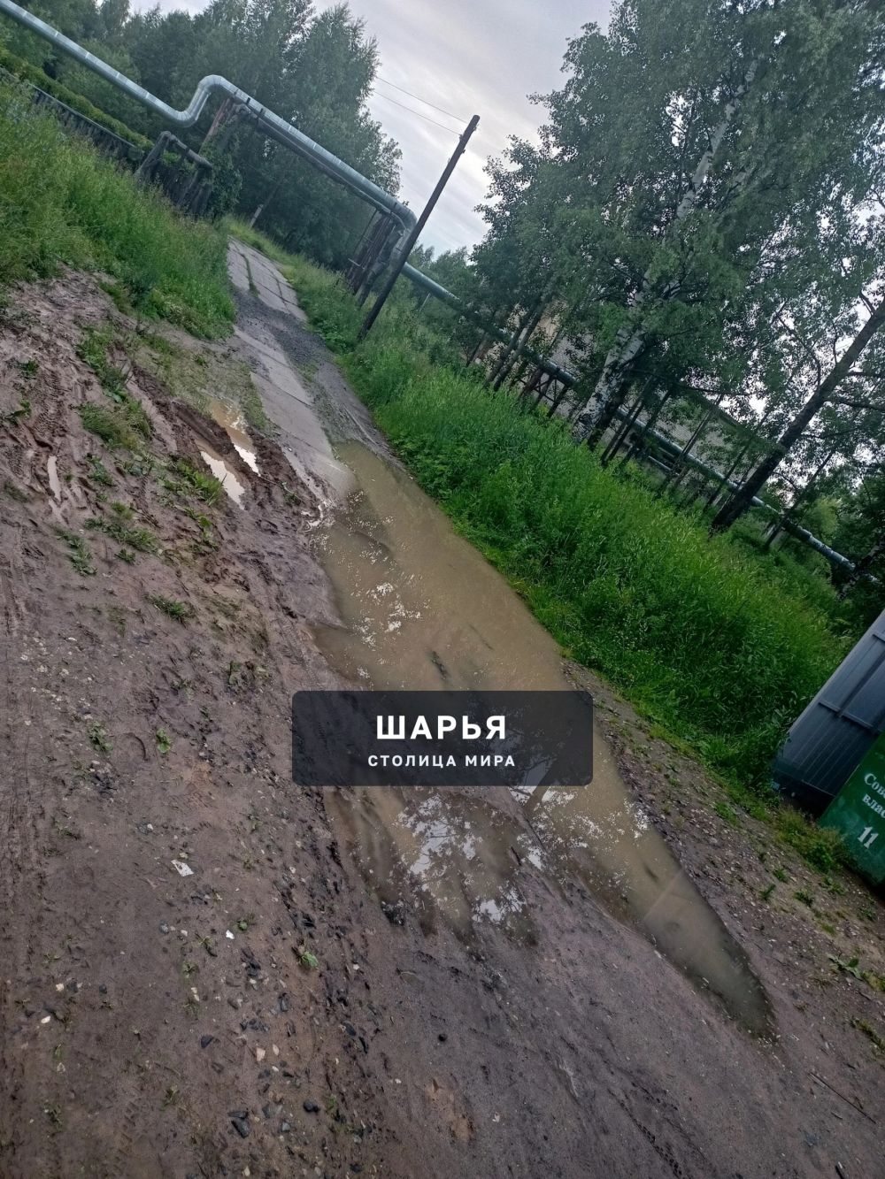 Уважаемая администрация города Шарьи, подскажите пожалуйста как вот здесь можно пройти… — Шарья — фото 3