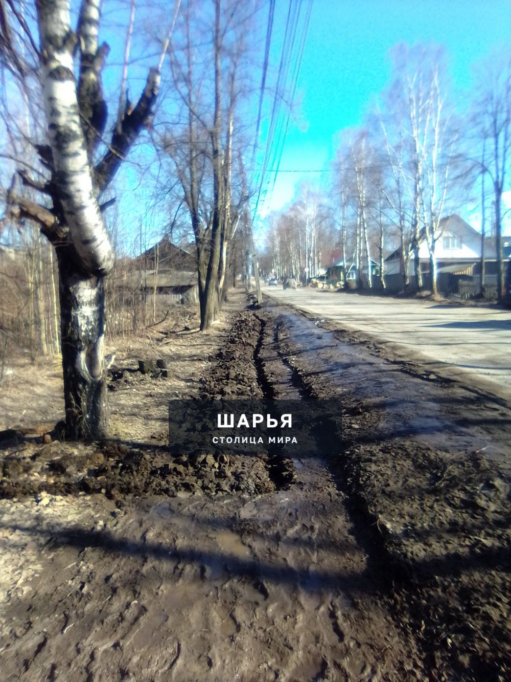 Публикация «Гражданин города Шарья» — фото 3