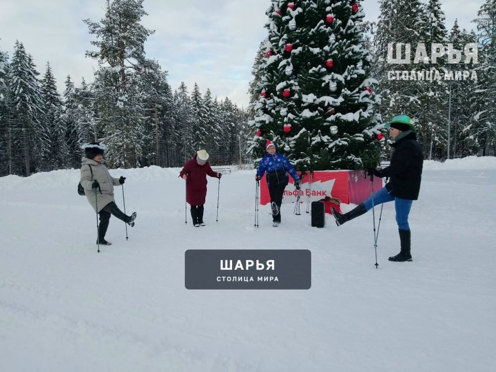 Зимняя сказка в Городском парке Шарьи завораживает — Шарья — фото 3