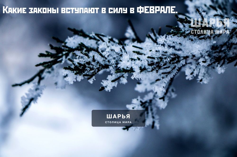 Какие законы вступают в силу в феврале 2026 — Шарья