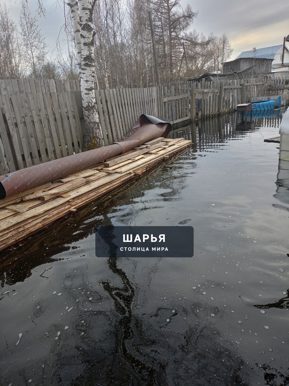 Администрация городского округа г.Шарья подскажите пожалуйста в какую сторону вы хотите… — фото 7