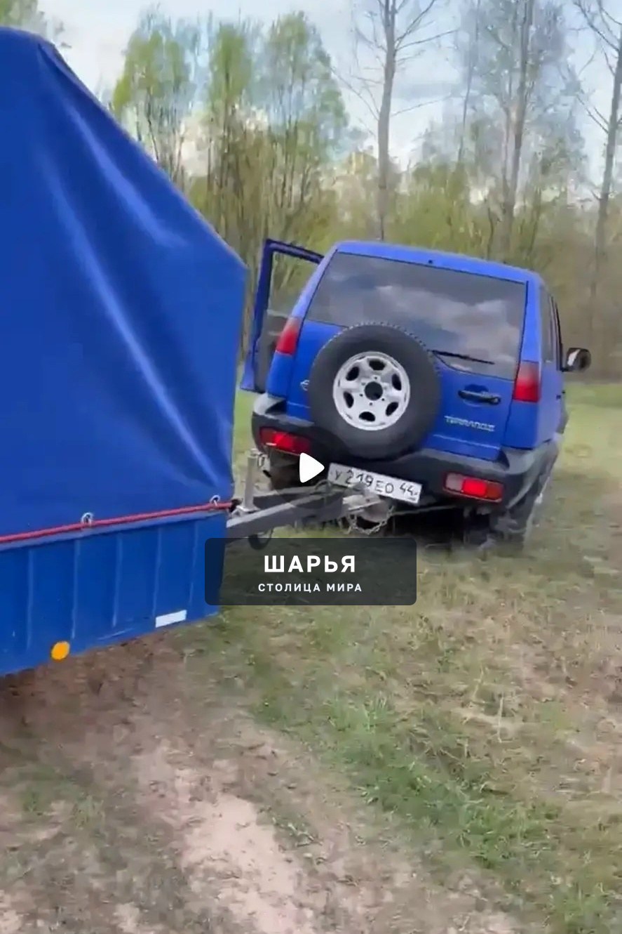 Наглость, говорят, второе счастье — Шарья