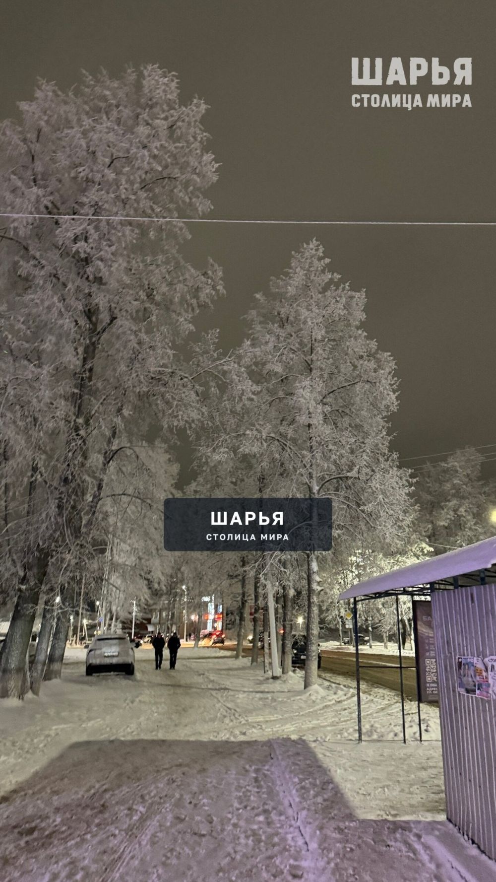 Зима пришла — Шарья — фото 5