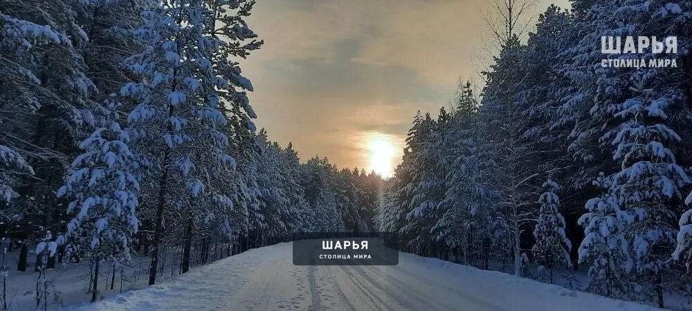 Новость из Шарьи — Шарья