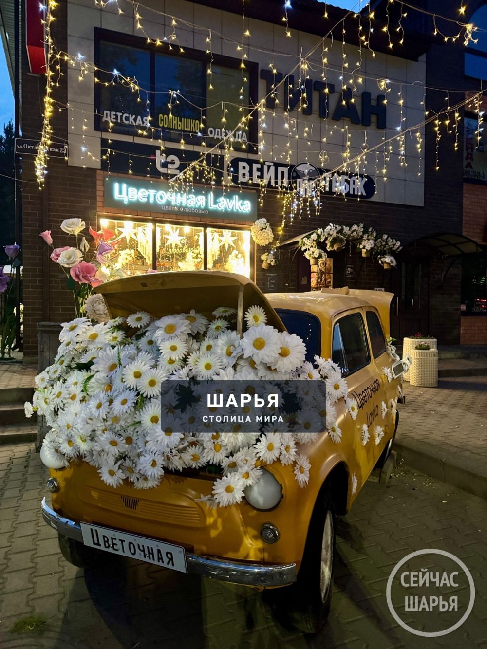 Ночь в Шарье — это не просто время суток, а целая палитра эмоций! — Шарья