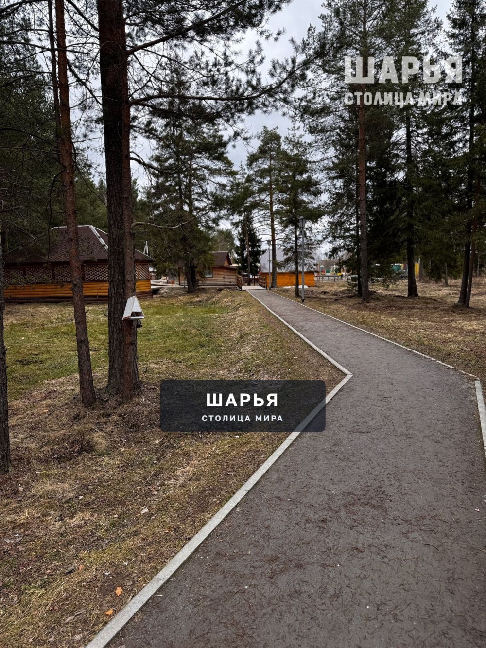 Весна в городском парке — Шарья — фото 6