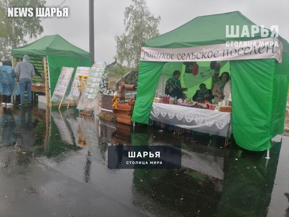 В Шарьинском районе состоялся ежегодный Межрегиональный фестиваль "Мы с Ветлуги-реки" — Шарья — фото 4