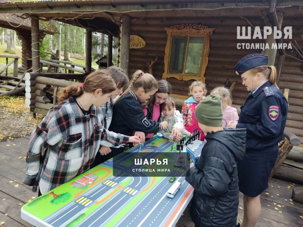Квест-игра «Знатоки дорожных правил» увлекла маленьких шарьинцев — Шарья