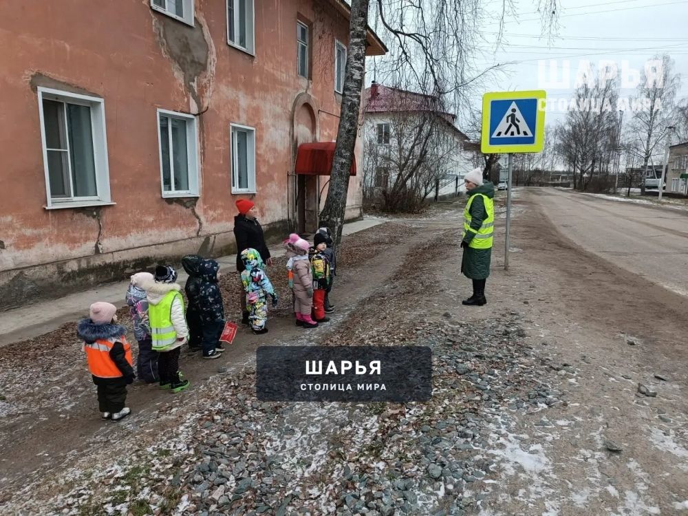 Шарьинские дошколята участвуют в дорожных экскурсиях — Шарья — фото 3