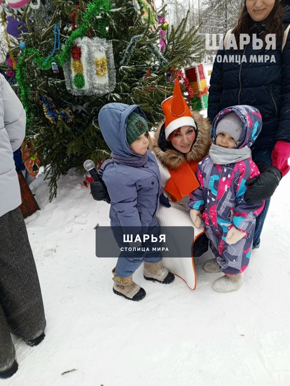 В Новый год с Конём Юлием! — Шарья