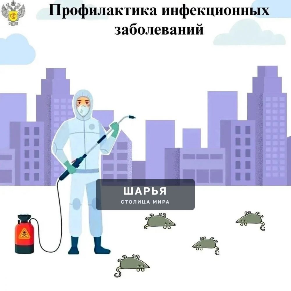 В регионе завершён месячник дератизации — Шарья