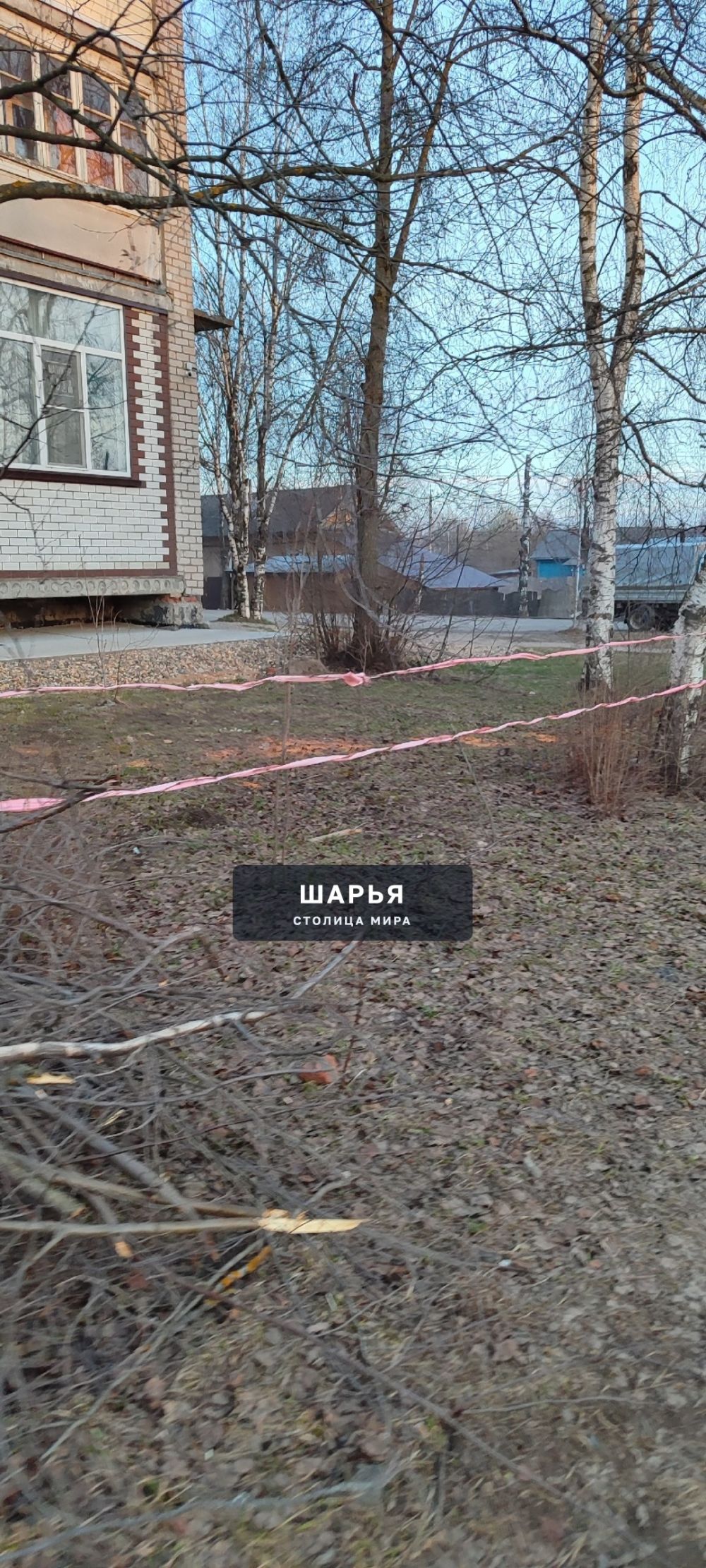 На перекрестке улиц Ивана Шатрова/ Орджоникидзе рядом с пешеходной тропинкой натянута колючая… — Шарья — фото 4