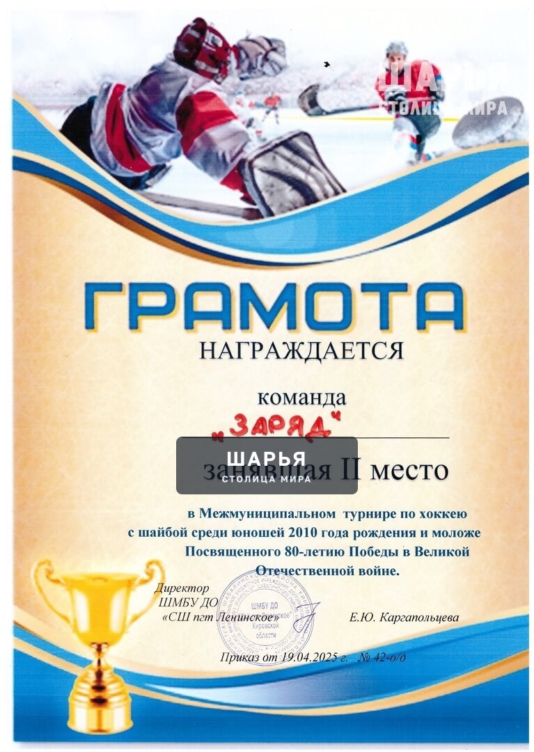 Хоккеисты из Шарьи - серебряные призеры — Шарья — фото 6