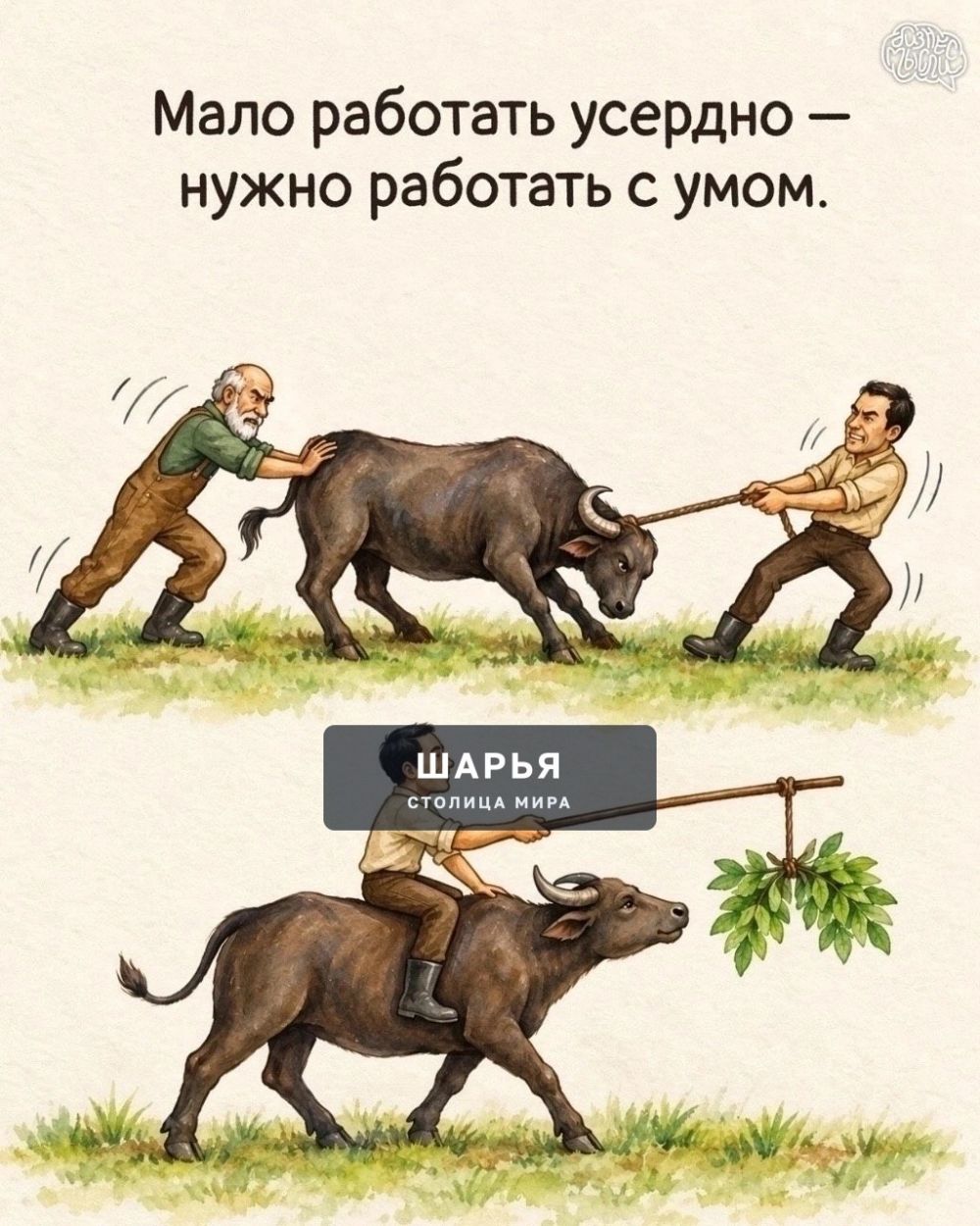 Эти картинки стоит посмотреть каждому — Шарья — фото 9