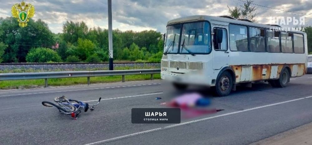 ДТП с участием пожилого велосипедиста стало настоящей трагедией — Шарья