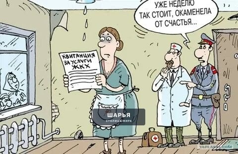После массовых жалоб в соцсетях на стоимость «коммуналки» ФАС проверит тарифы — Шарья