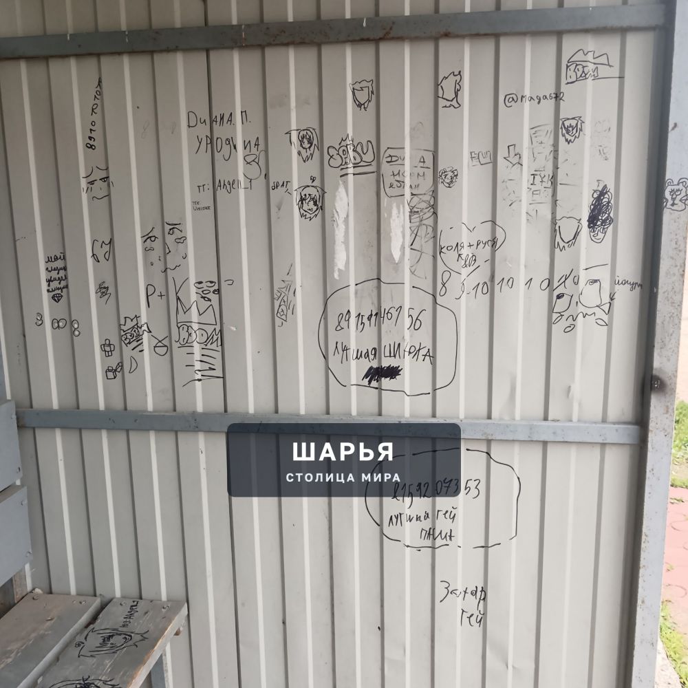 Самая гадкая и позорная остановка в городе. ул Ив Шатрова — Шарья — фото 6