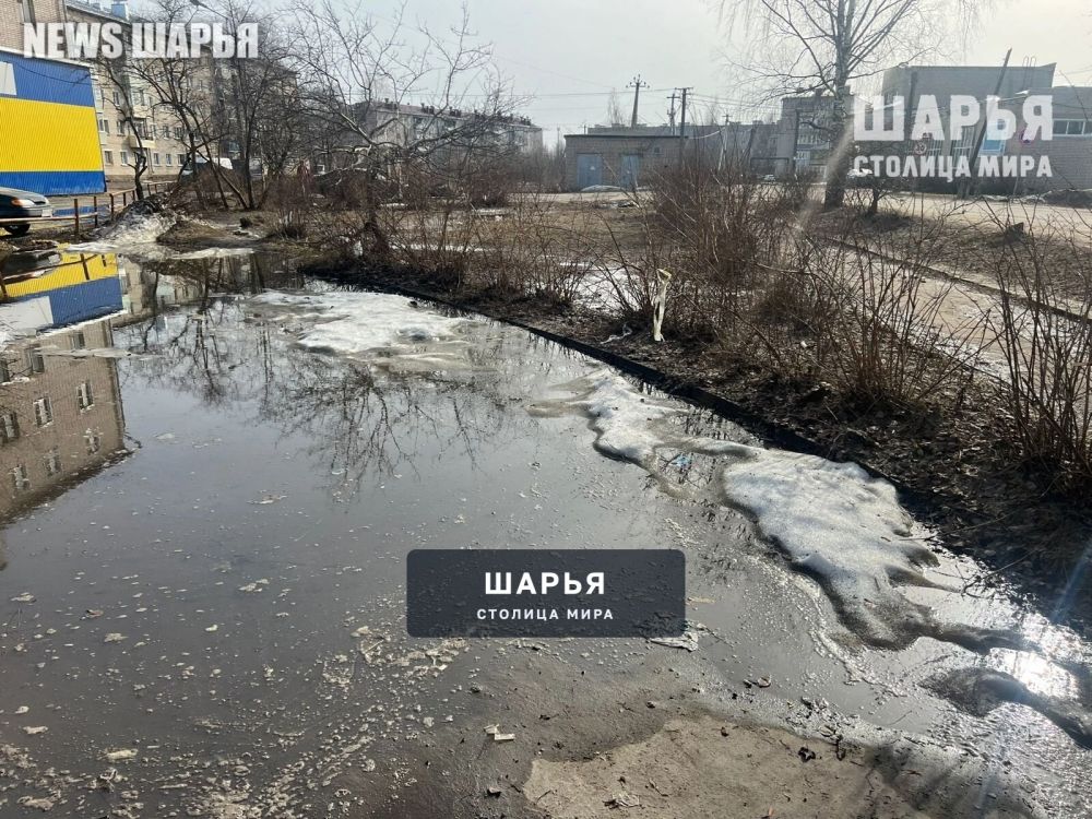 "Морской" сквер в Шарье начал обретать свой окончательный вид — Шарья — фото 3