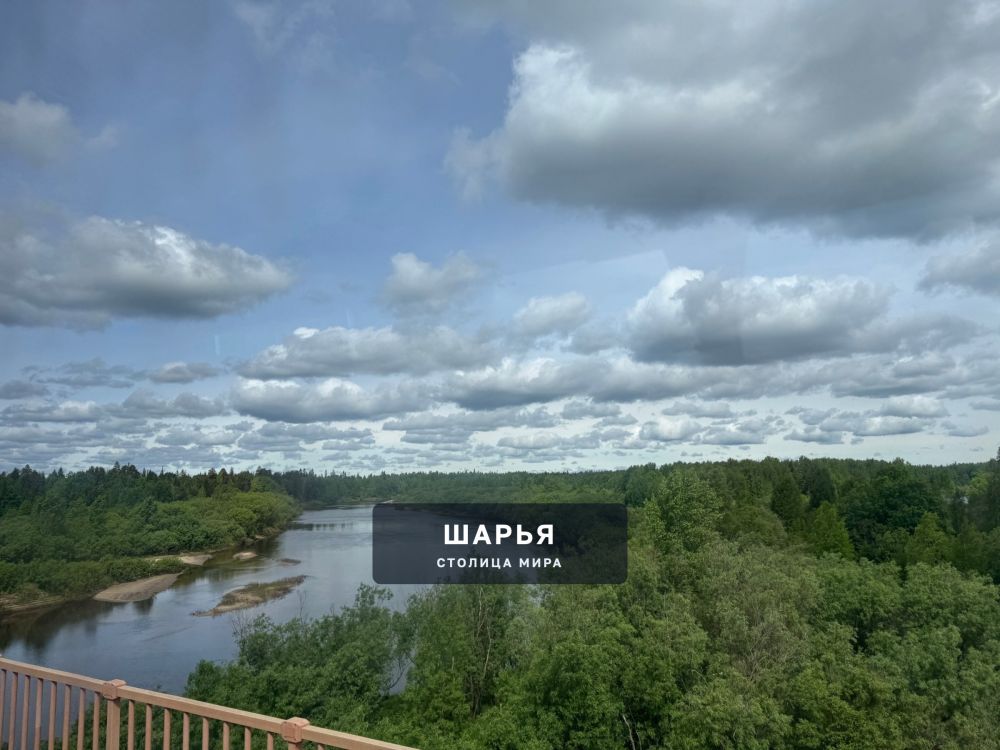 Река Ветлуга — Шарья — фото 2