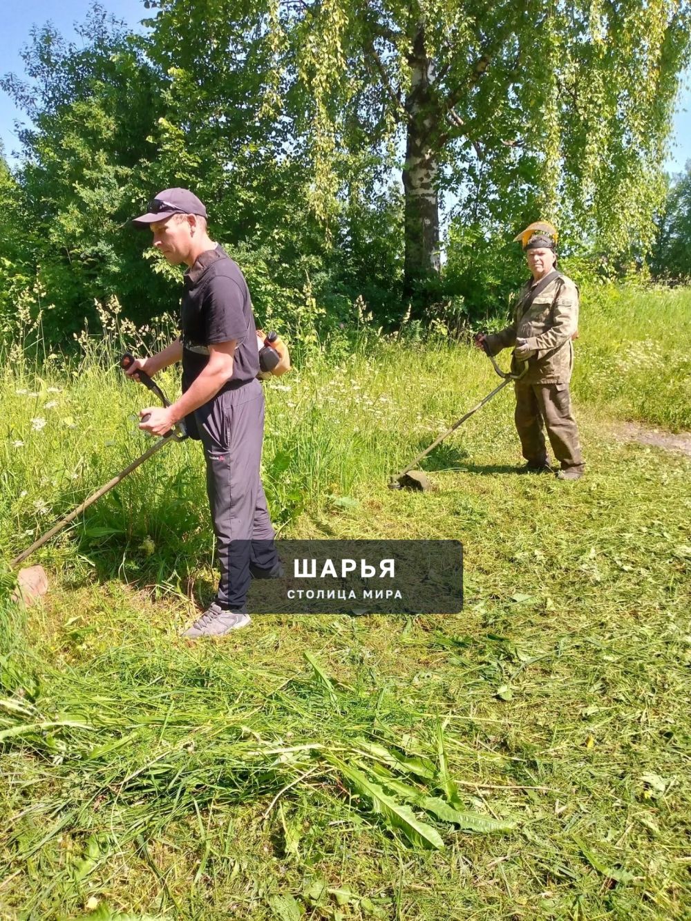 Шарьинские подростки не ценят красоту и чистоту — Шарья — фото 2