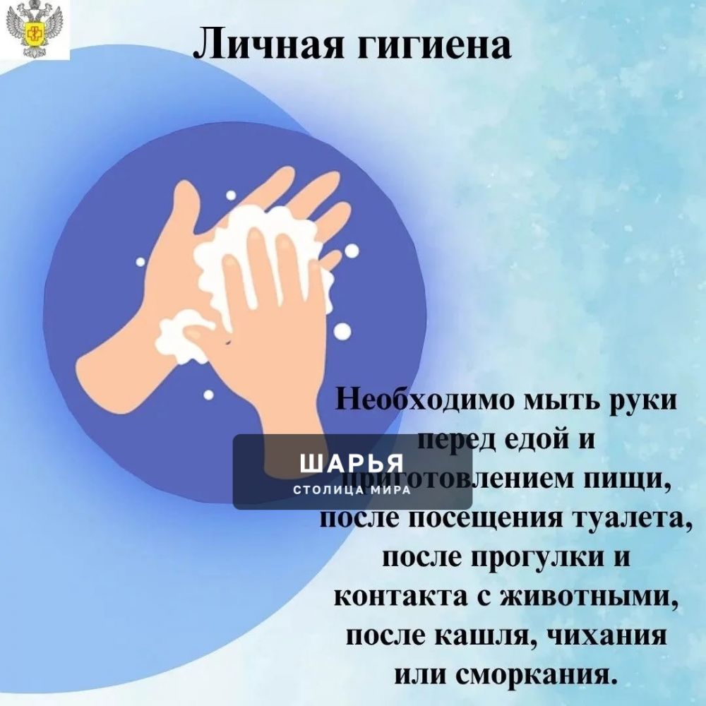 15 мая - Международный день семьи, учрежденный Генеральной Ассамблеей ООН — Шарья — фото 6