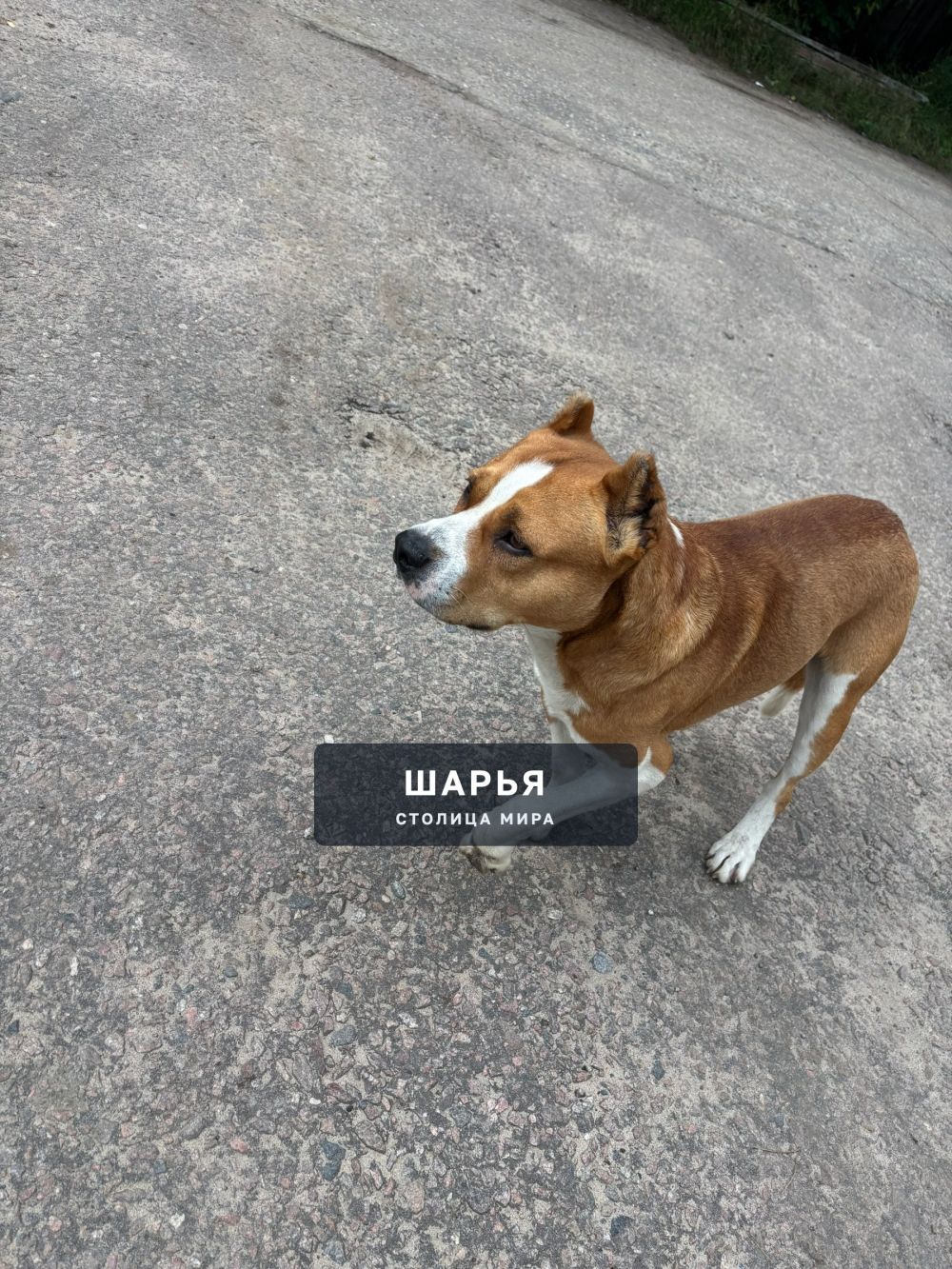 Всем добрый день!!! — Шарья