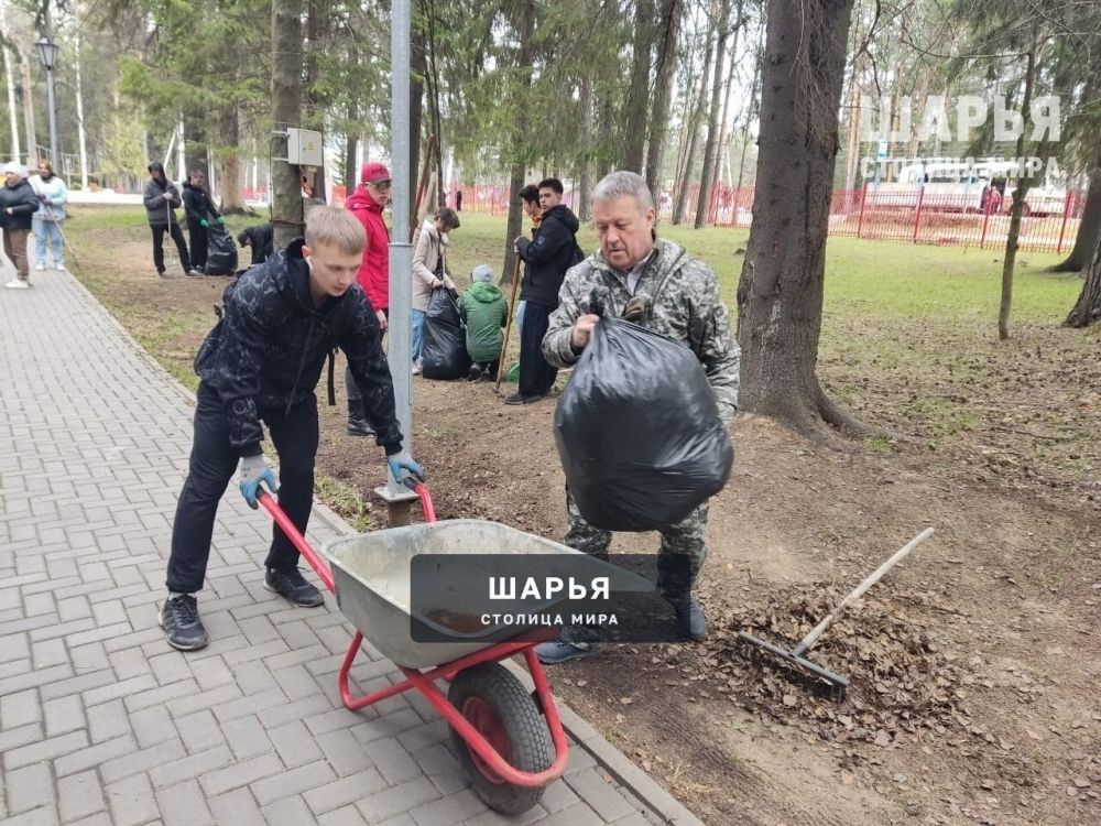 В Городском парке провели субботник — Шарья — фото 6