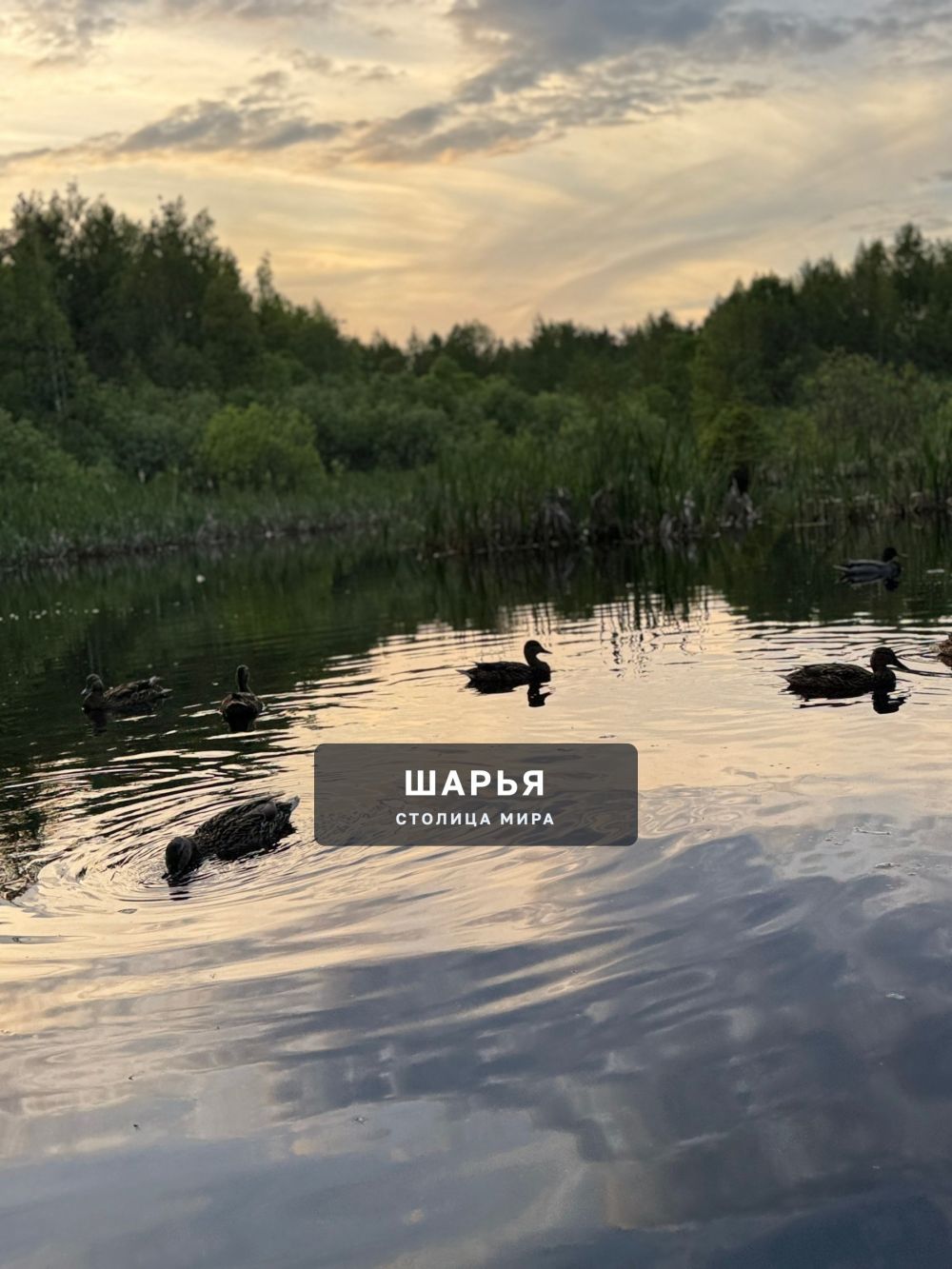 Тропа здоровья — Шарья — фото 4