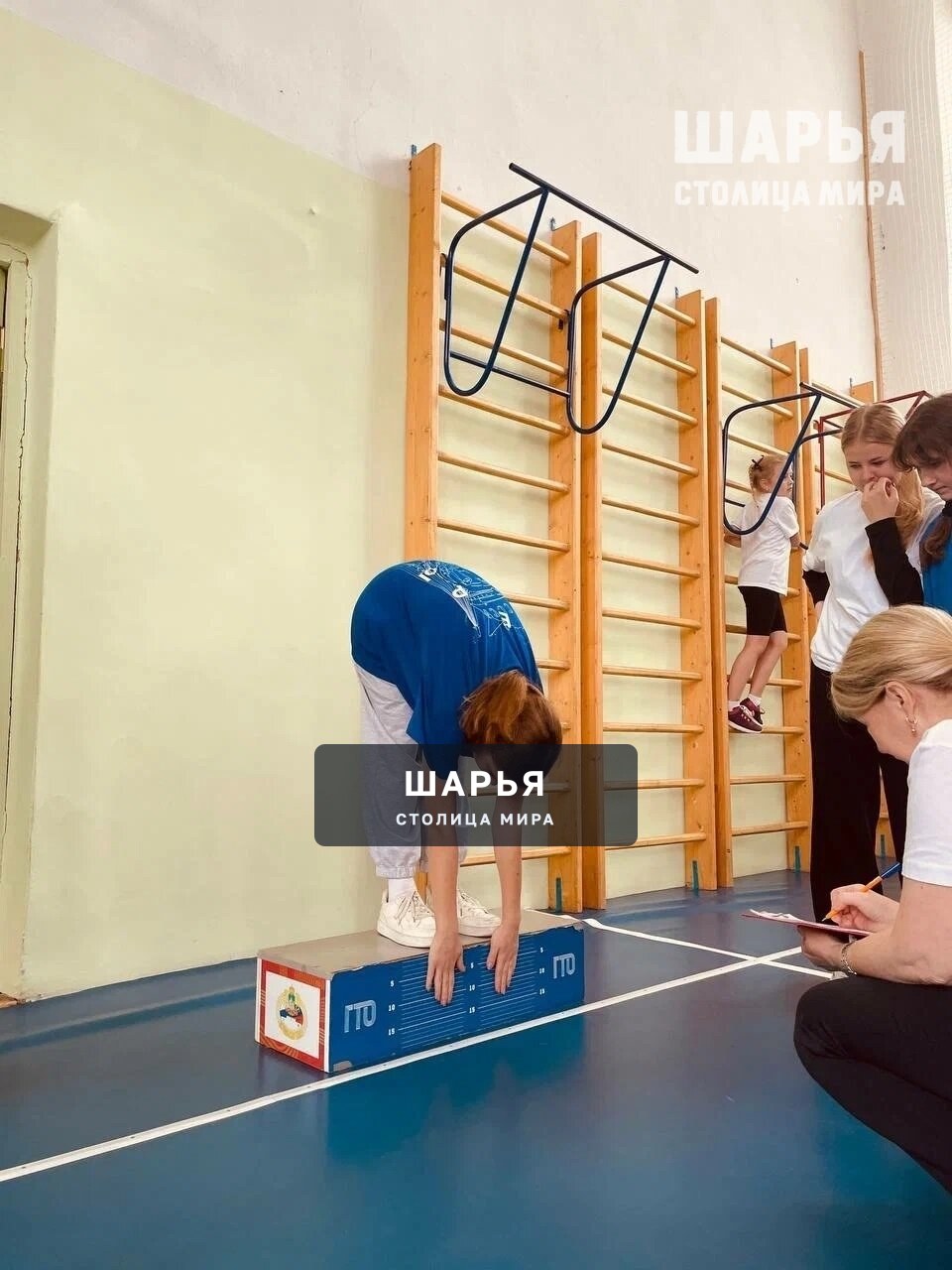 Спортивные семейные команды Шарьи в числе лучших по Костромской области — Шарья — фото 7