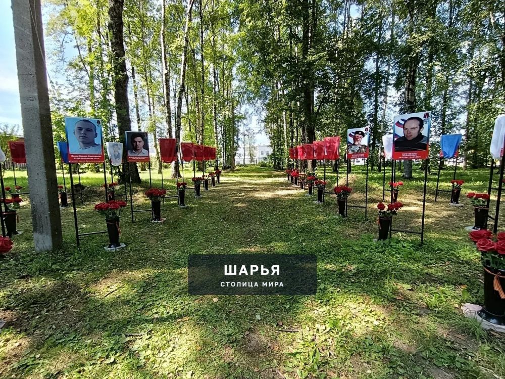 Аллея славы героев, погибших в ходе проведения СВО, вновь пополнилась новыми именами — Шарья — фото 1