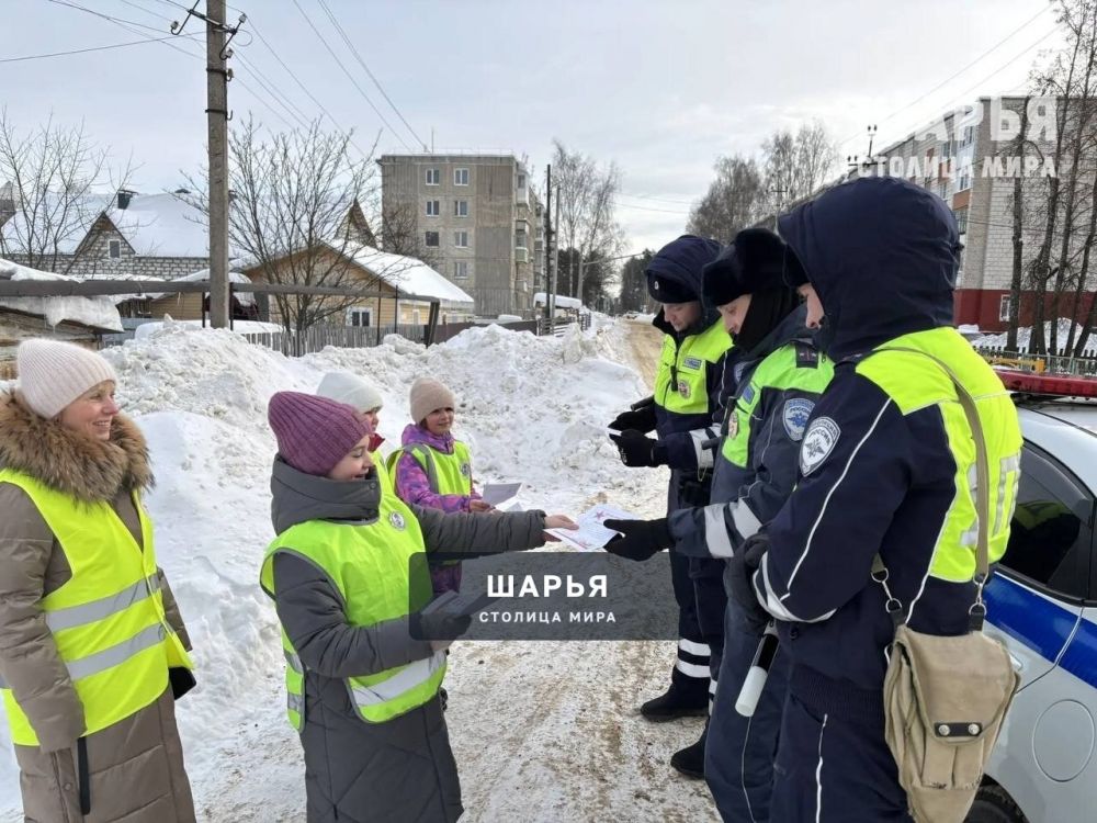 Шарьинские автополицейские поздравили водителей-мужчин с Днём защитника Отечества — Шарья — фото 2