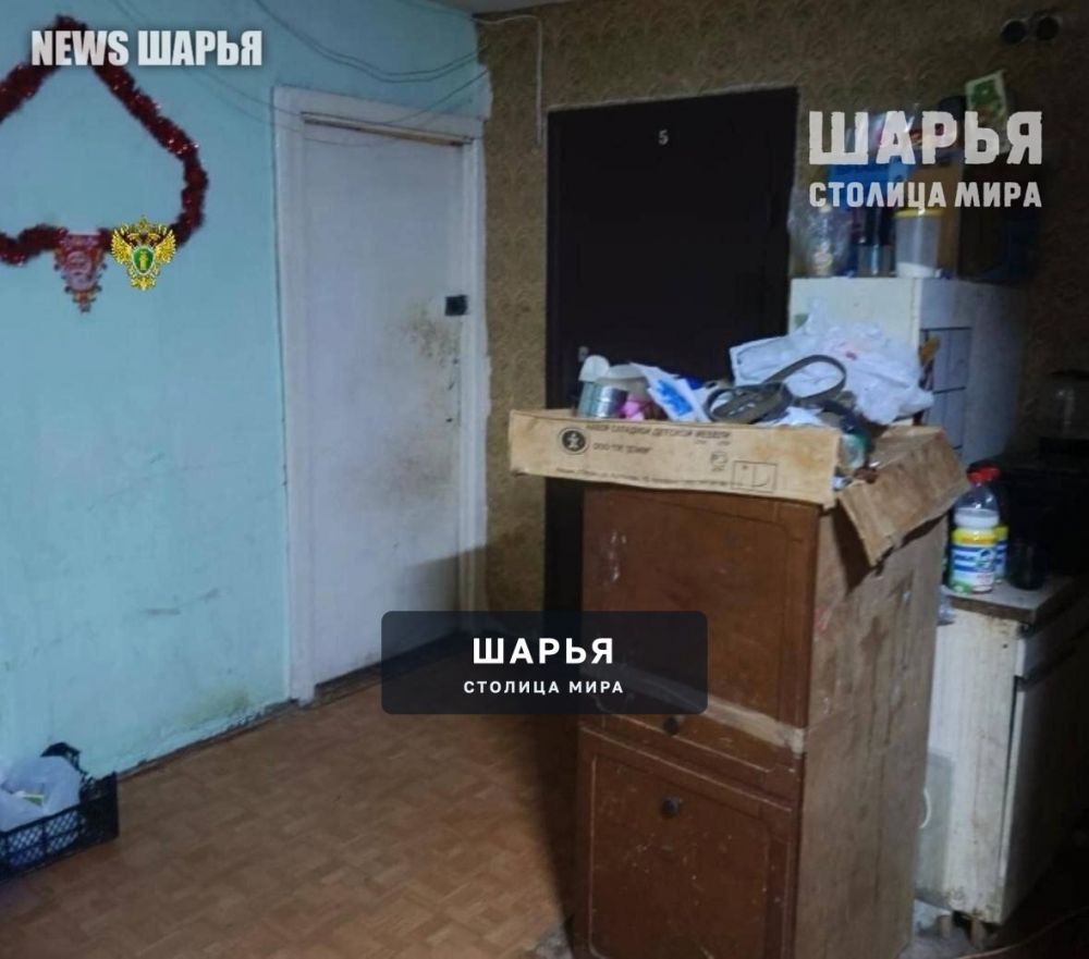В Костроме перед судом предстанут отец и его знакомая виновные в смерти малолетнего ребенка — Шарья — фото 2