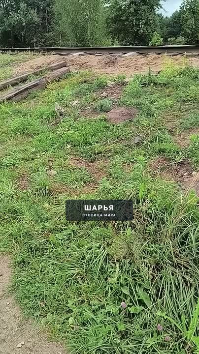 Львов Николай — Шарья
