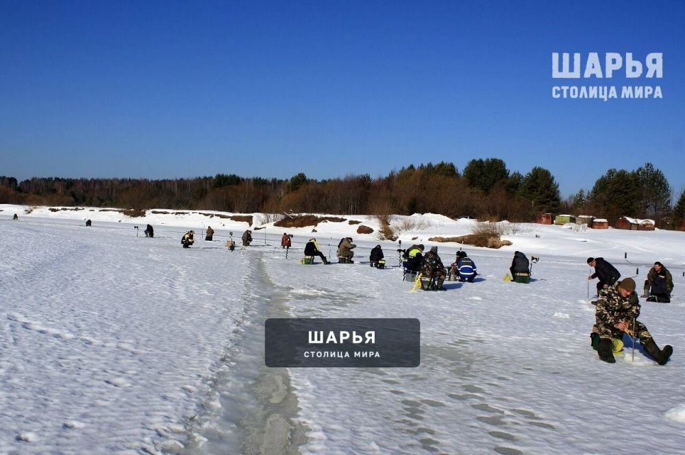 Чемпионат по спортивной рыбной ловле со льда на мормышку принес шарьинцам призовое место — Шарья — фото 4