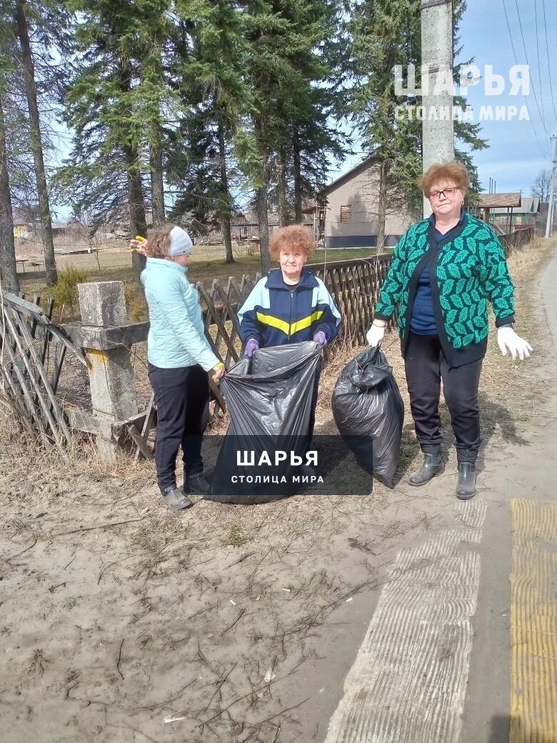 В Шарье началась пора субботников — Шарья