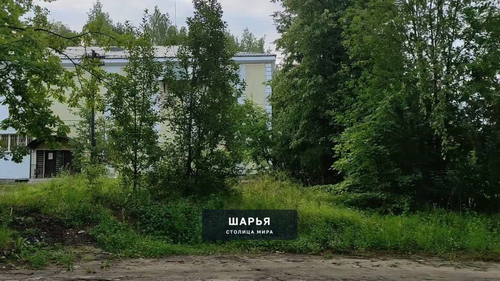 Намечается проект аллеи в честь Веры Валентиновны Долгих вдоль улицы Орджоникидзе, вдоль… — Шарья