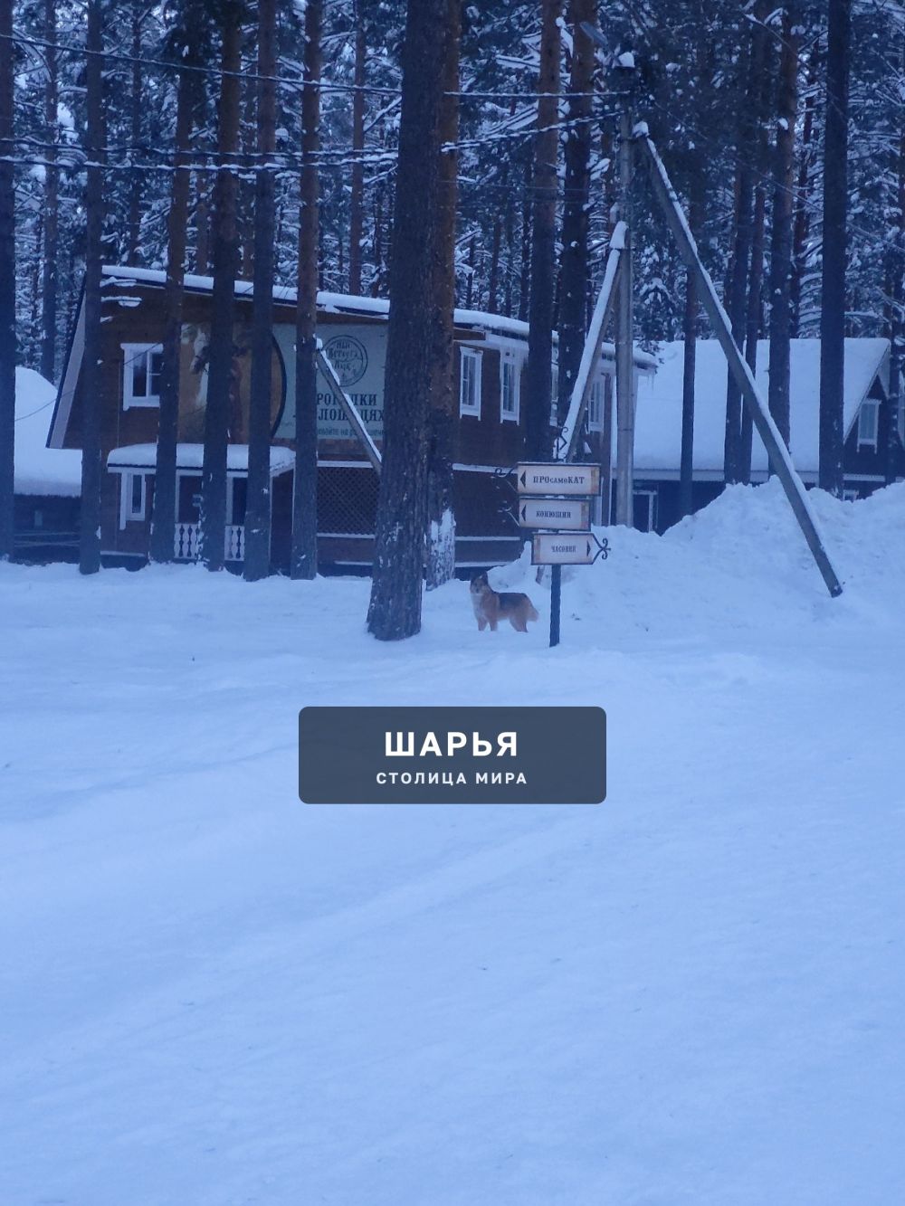 Разместите, пожалуйста, пост в группе следующего содержания! — Шарья — фото 4