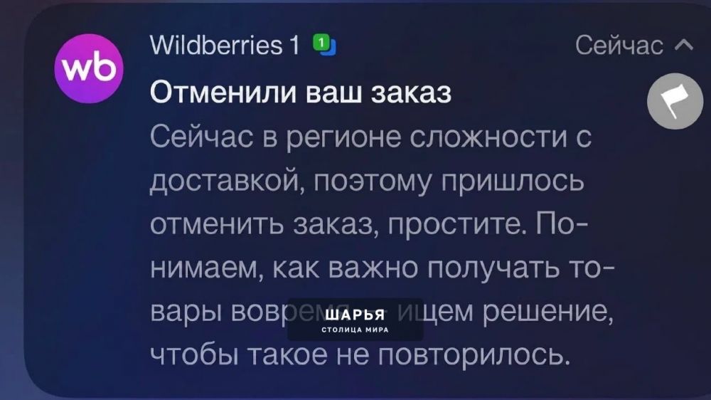 Wildberries начали ОТМЕНЯТЬ ЗАКАЗЫ в России — СМИ пишут, что это связано с топливным кризисом — Шарья