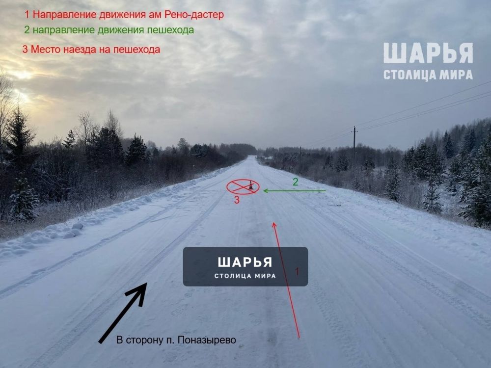 Две пенсионерки не смогли поделить поселковую дорогу — Шарья